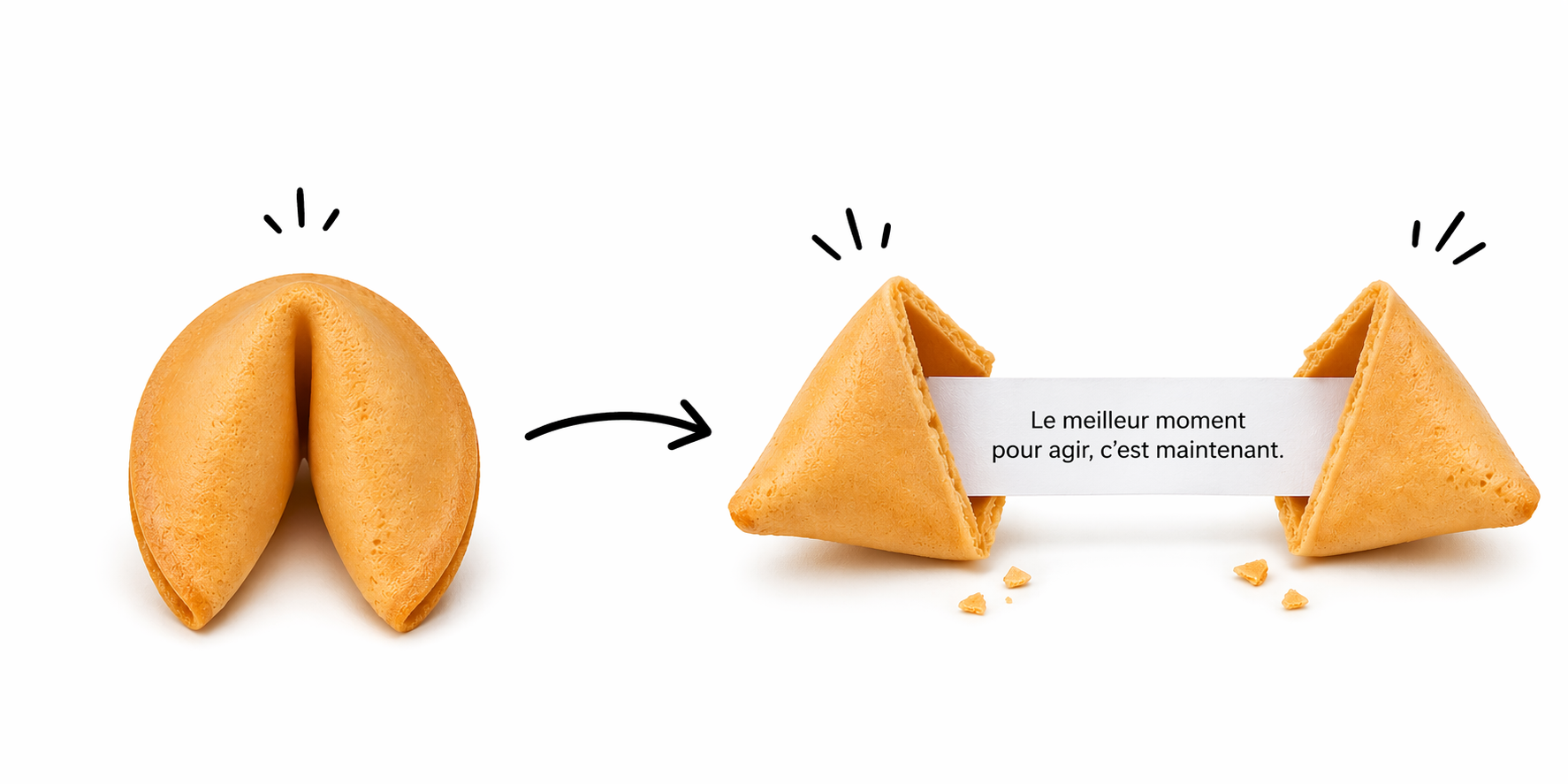 schéma Fortune Cookies Happycookie schéma Fortune Cookies Happycookie